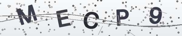 Security code: five letters and numbers